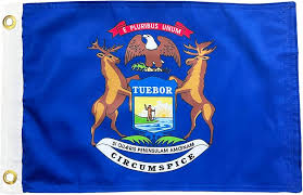 VueMichigan.com